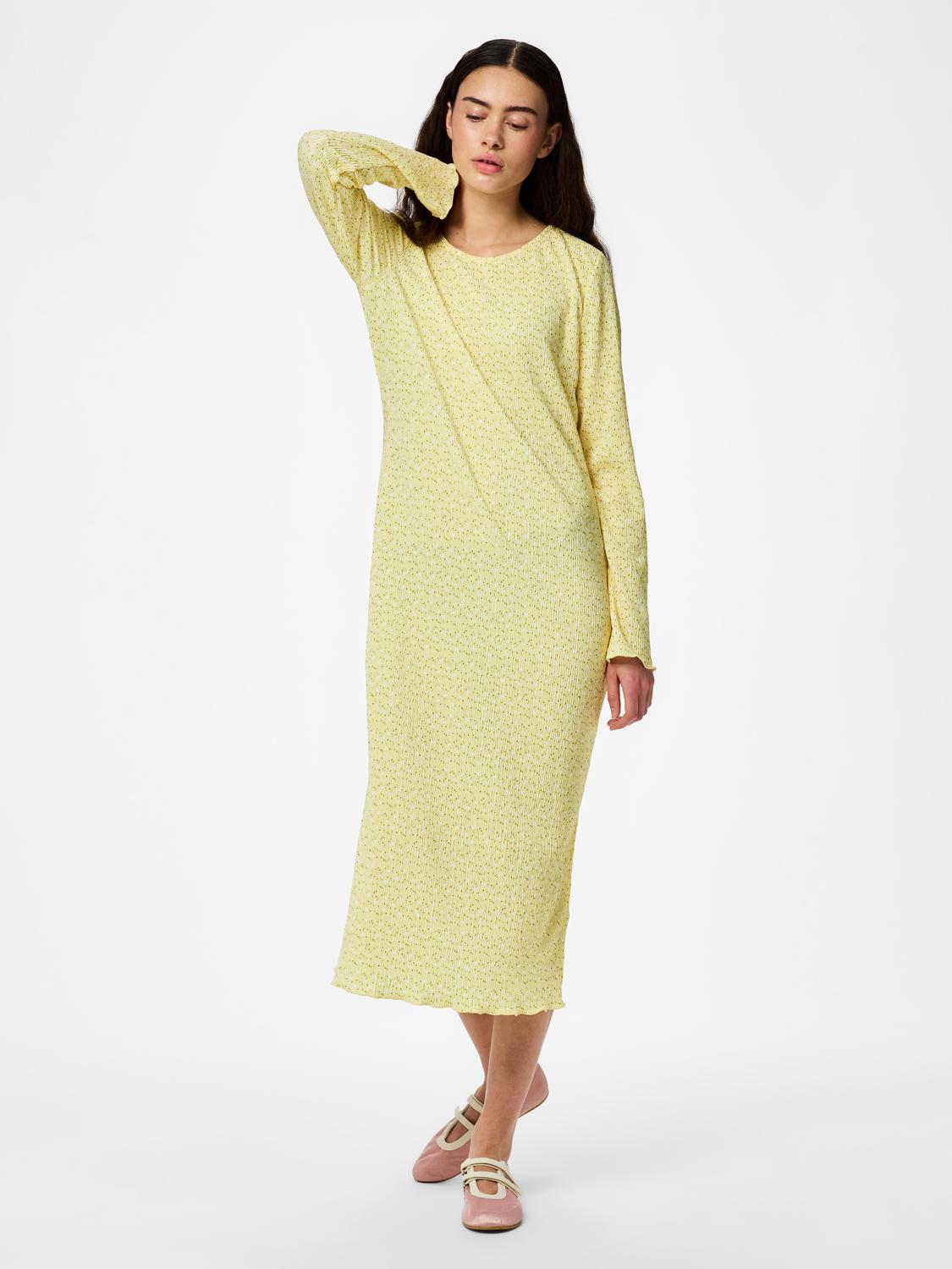 model_shot-front_full